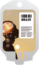 BRAIN 腦精靈