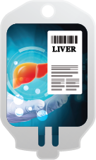 LIVER 清肝排毒