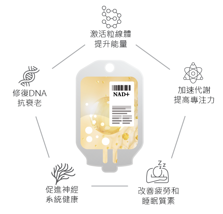 NAD+美國全身細胞逆齡