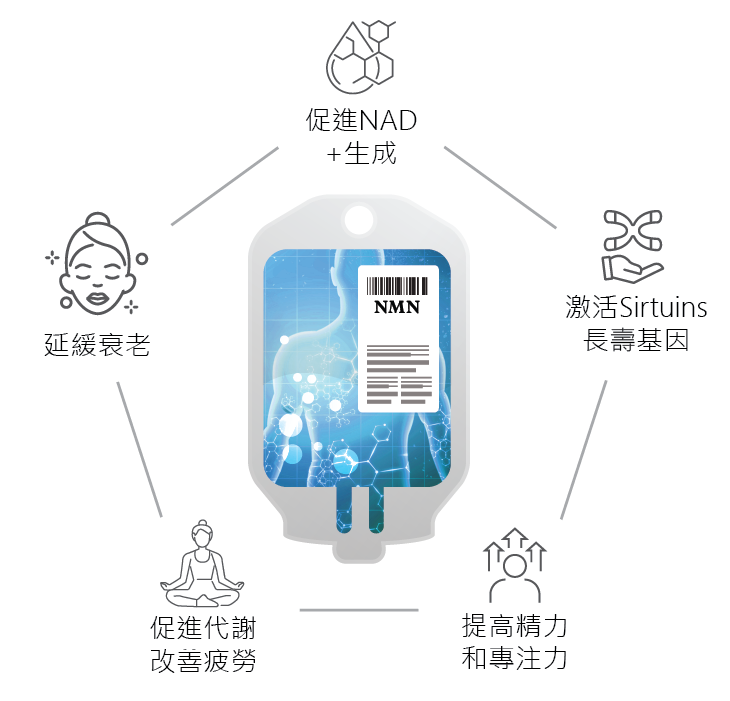 NMN 日本全身細胞逆齢